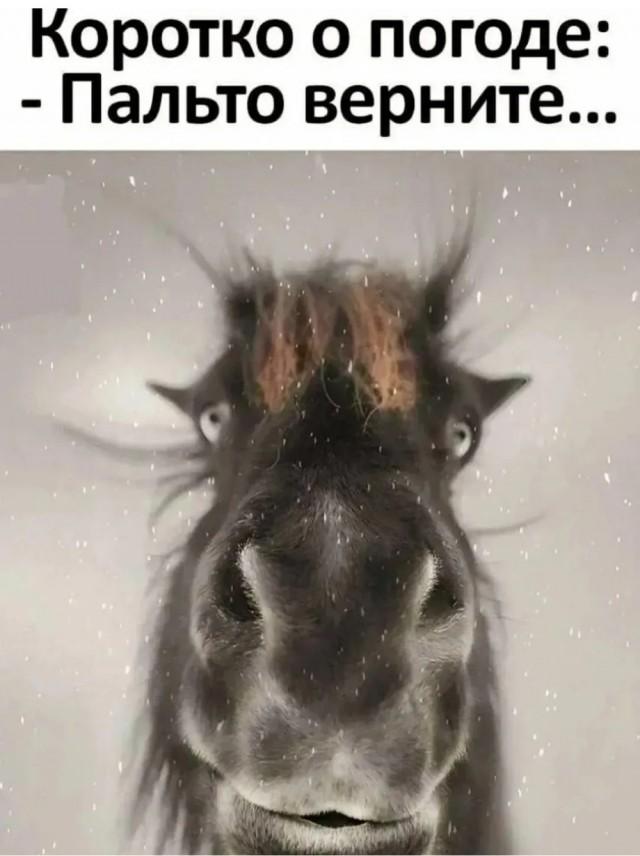 Подборка прикольных фото №3941