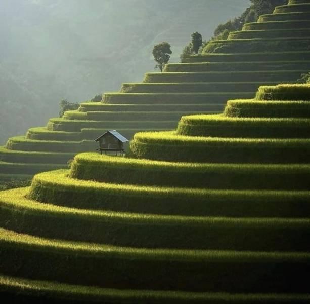 Подборка прикольных фото №3932