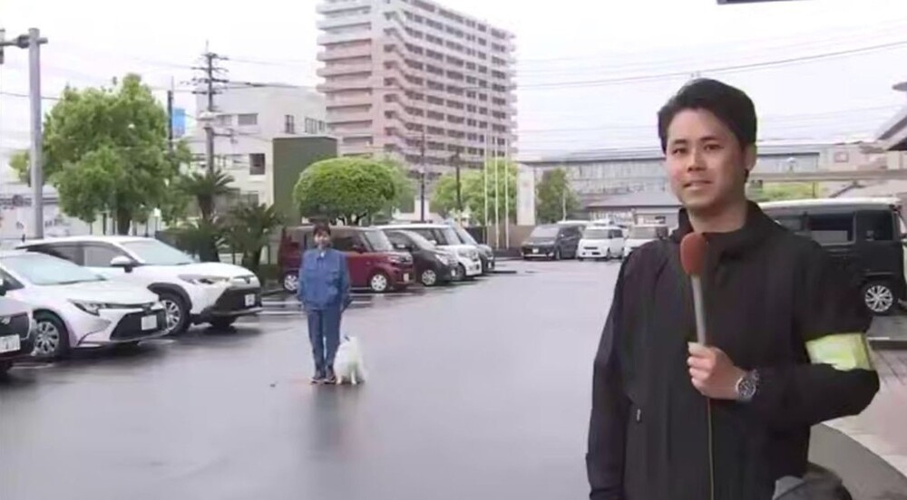 
        В&nbsp;Японии померанский шпиц стал служить в&nbsp;полиции    