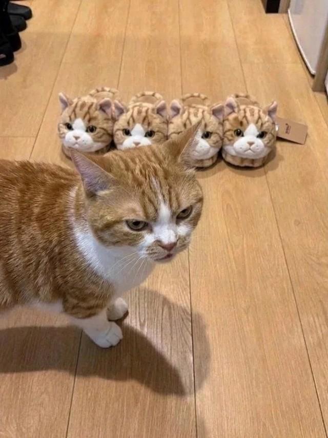 Подборка прикольных фото №3923