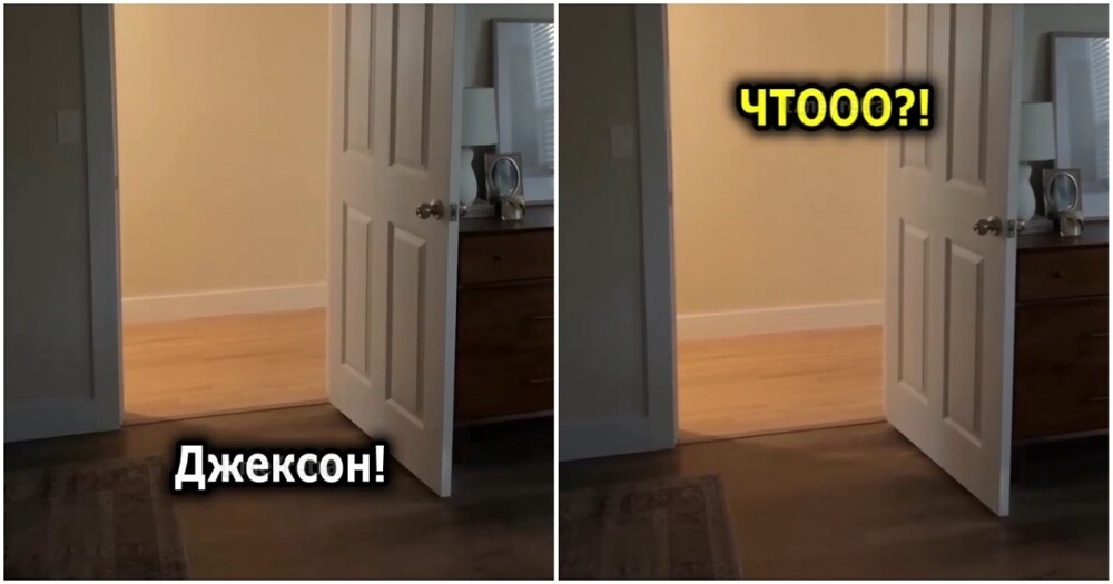 Джексон не хочет идти в комнату
Джексон не хочет идти в комнату