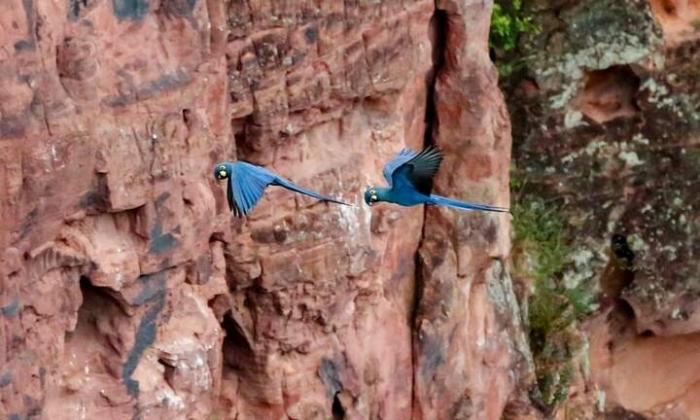 Подборка прикольных фото №3933