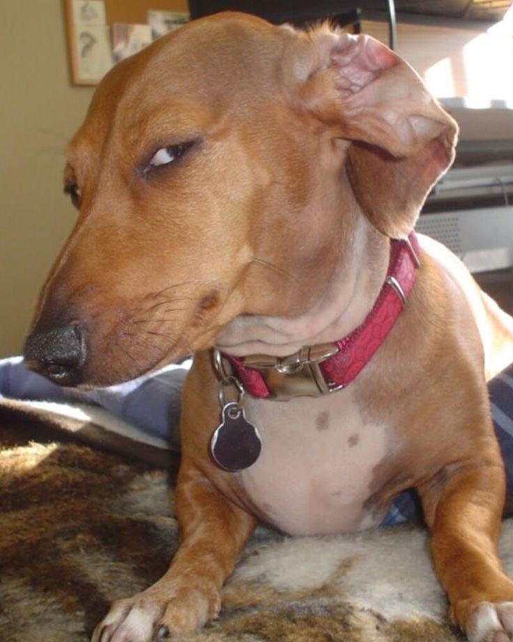 
        25&nbsp;реальных жизненных моментов, которые невозможно выдумать    