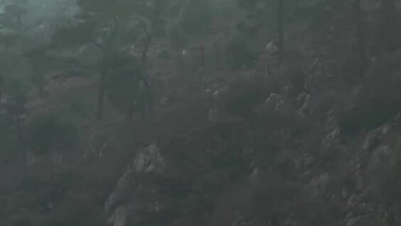 
        10&nbsp;заповедей настоящего Черногорца    