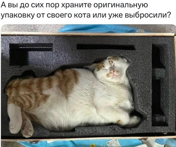 Мем №1597378