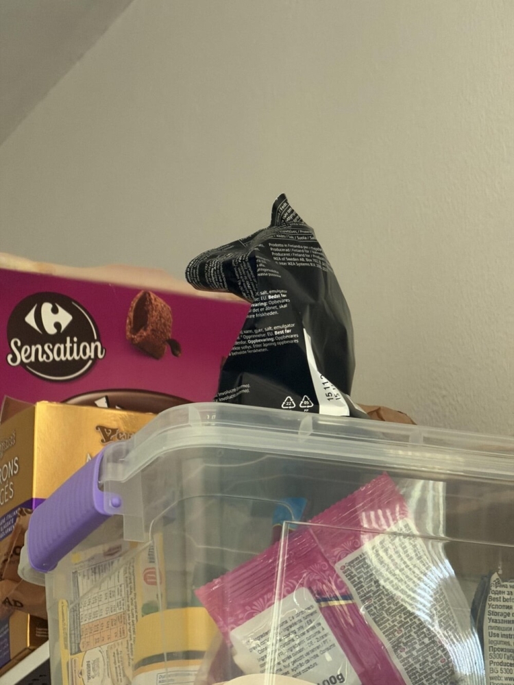 
        25&nbsp;историй о&nbsp;том, как&nbsp;увлечённо мир&nbsp;рисует для&nbsp;нас&nbsp;мультики    