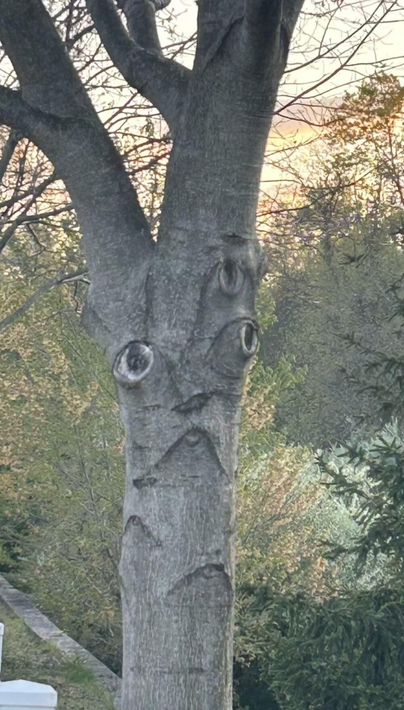 
        25&nbsp;историй о&nbsp;том, как&nbsp;увлечённо мир&nbsp;рисует для&nbsp;нас&nbsp;мультики    