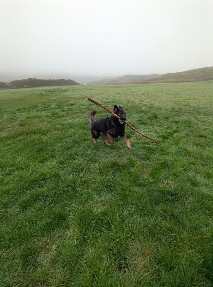 
        30+ животных, которые не&nbsp;знают о&nbsp;существовании проблем    