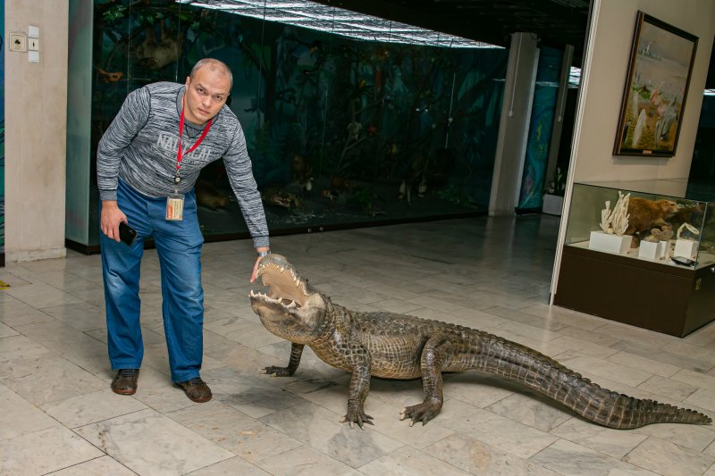 
        Аллигатор Гитлера: 3&nbsp;года выживал на&nbsp;руинах Берлина, попал в&nbsp;СССР и&nbsp;обрёл славу    