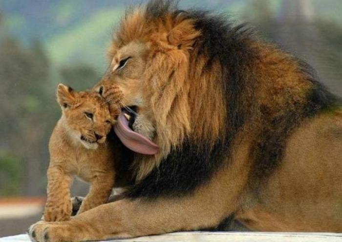 Подборка прикольных фото №3930