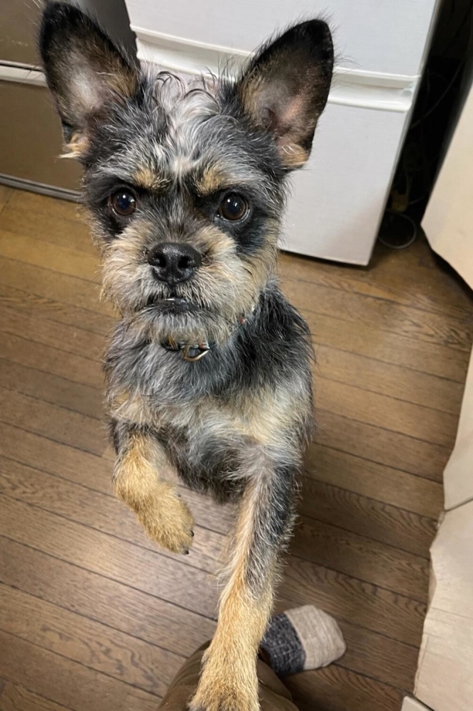 
        30+ животных, которые не&nbsp;знают о&nbsp;существовании проблем    