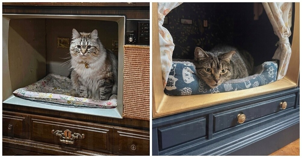 
        Лежанки из&nbsp;старых телевизоров и&nbsp;радиоприёмников    