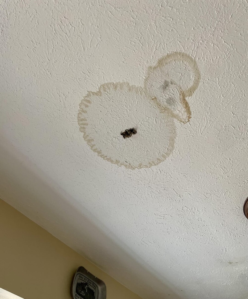 
        25&nbsp;историй о&nbsp;том, как&nbsp;увлечённо мир&nbsp;рисует для&nbsp;нас&nbsp;мультики    