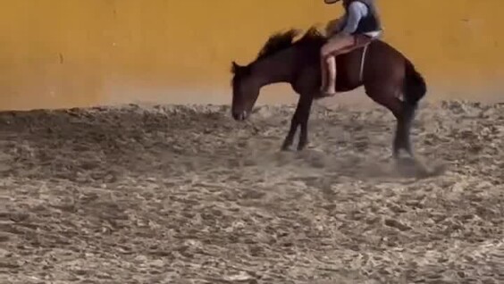 
        Лошадь укусила и&nbsp;ударила ковбоя на&nbsp;соревнованиях в&nbsp;Техасе    