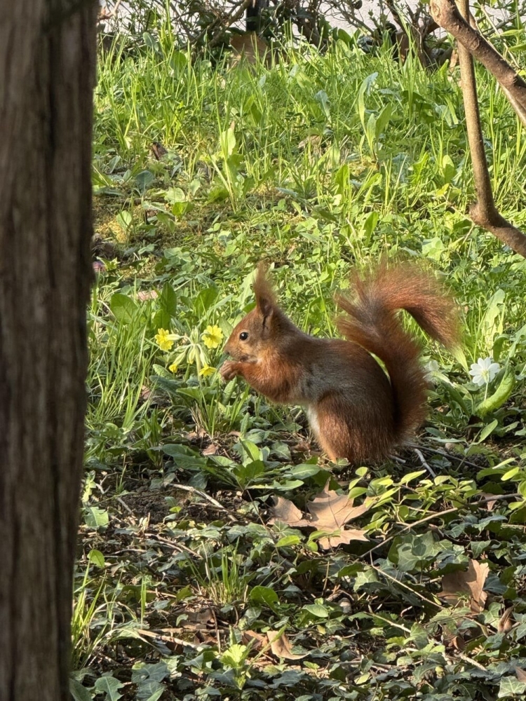 
        30+ животных, которые не&nbsp;знают о&nbsp;существовании проблем    
