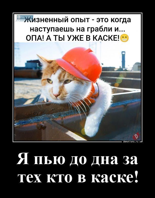 
			Демотиваторы №3793 (20 фото)