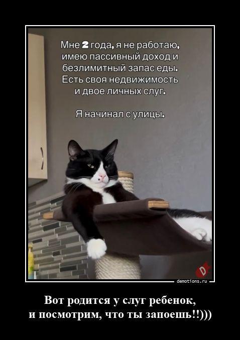 
			Демотиваторы №3795 (20 фото)