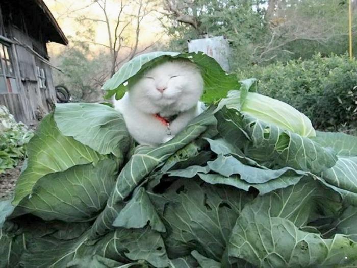 Подборка прикольных фото №3920