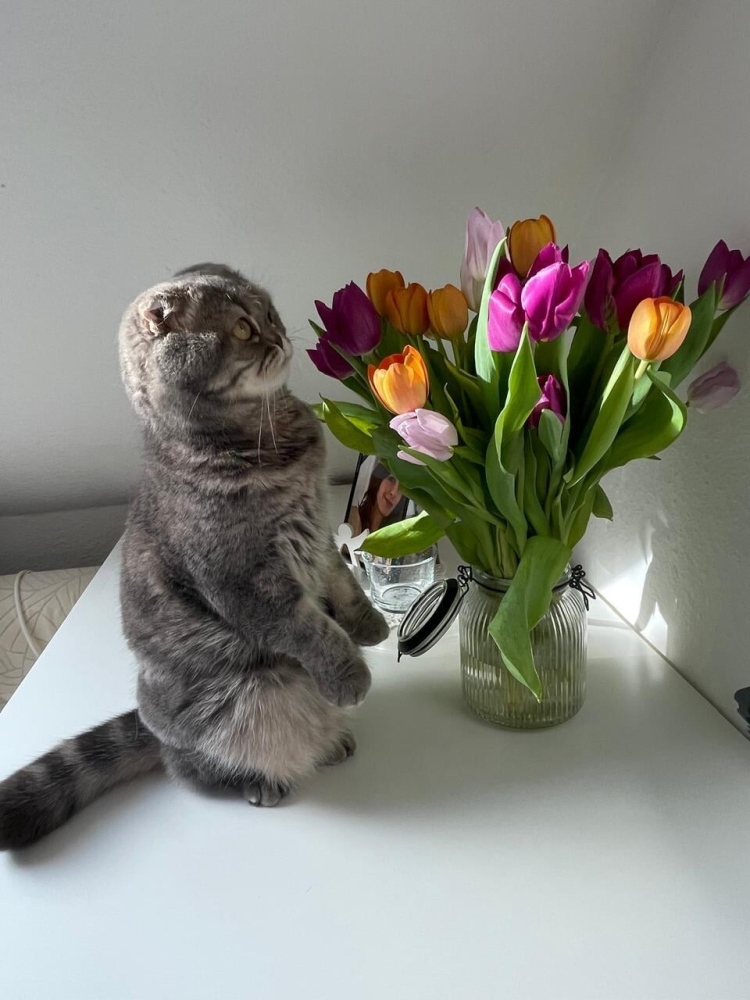 
        30+ животных, которые не&nbsp;знают о&nbsp;существовании проблем    