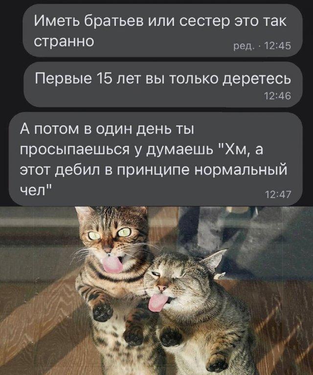 Шутки и мемы из Сети про братьев и сестер