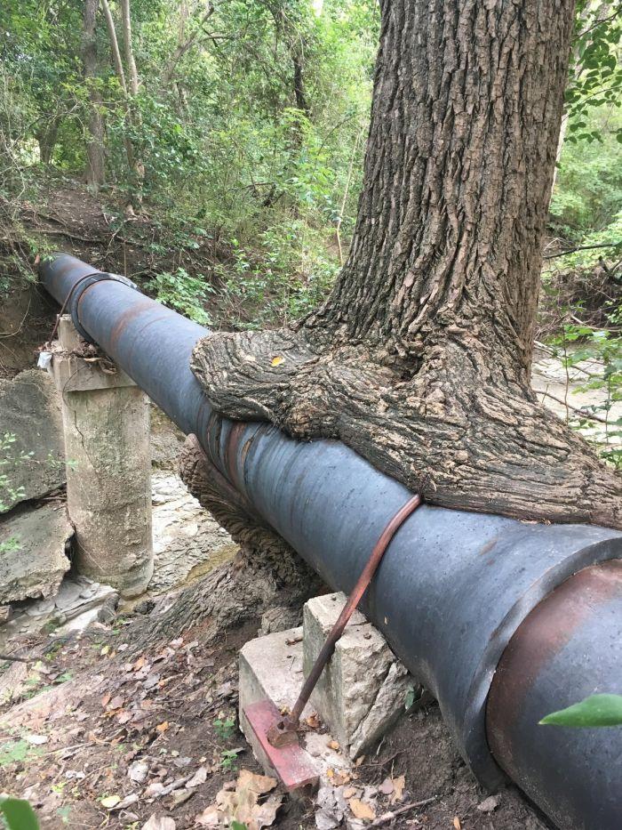 Подборка прикольных фото №3920