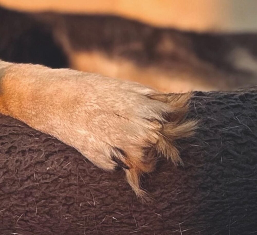 
        22&nbsp;случая, когда мать-природа включила режим &laquo;рояль в&nbsp;кустах&raquo;    