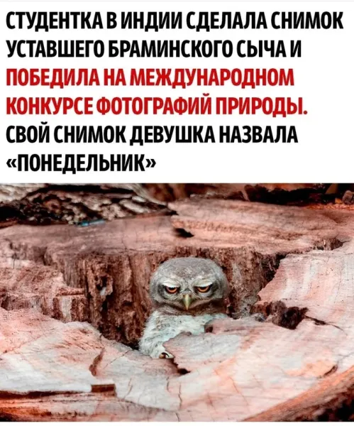 Мем №1593389