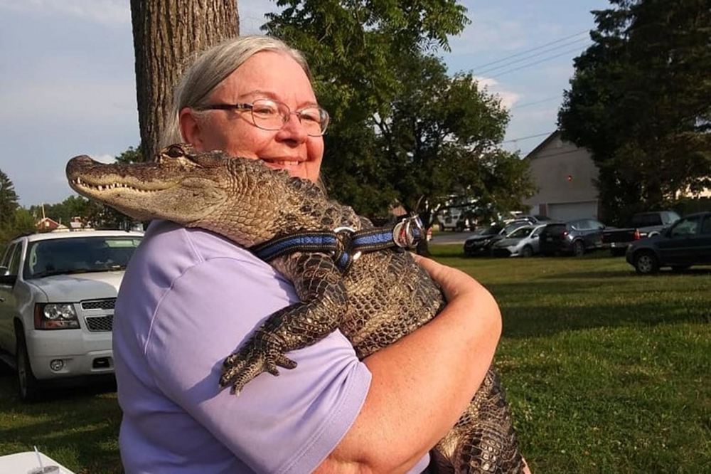 
        Аллигатор Гитлера: 3&nbsp;года выживал на&nbsp;руинах Берлина, попал в&nbsp;СССР и&nbsp;обрёл славу    