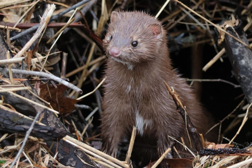 
        25&nbsp;фото очаровательных симпатяг, открытость которых растопит даже ледяное сердце    