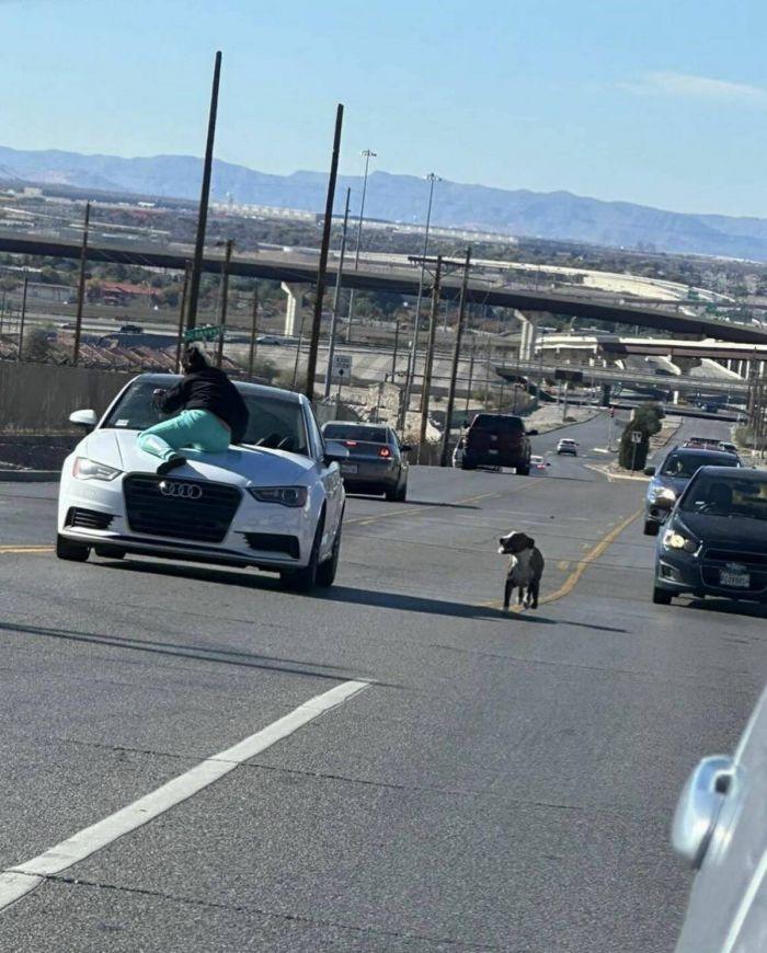 Подборка прикольных фото №3920