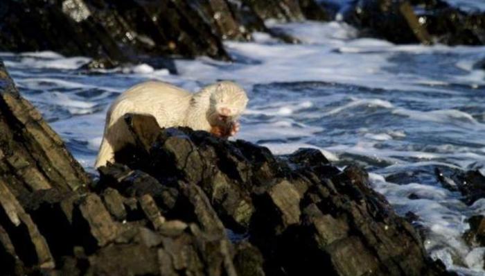 Подборка прикольных фото №3929