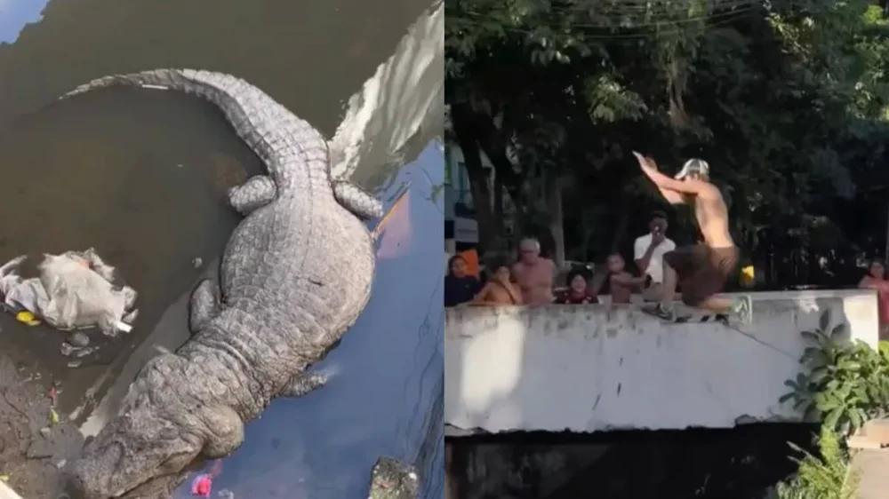 
        Бразильский паркур с&nbsp;&laquo;дополнительным адреналином&raquo;    