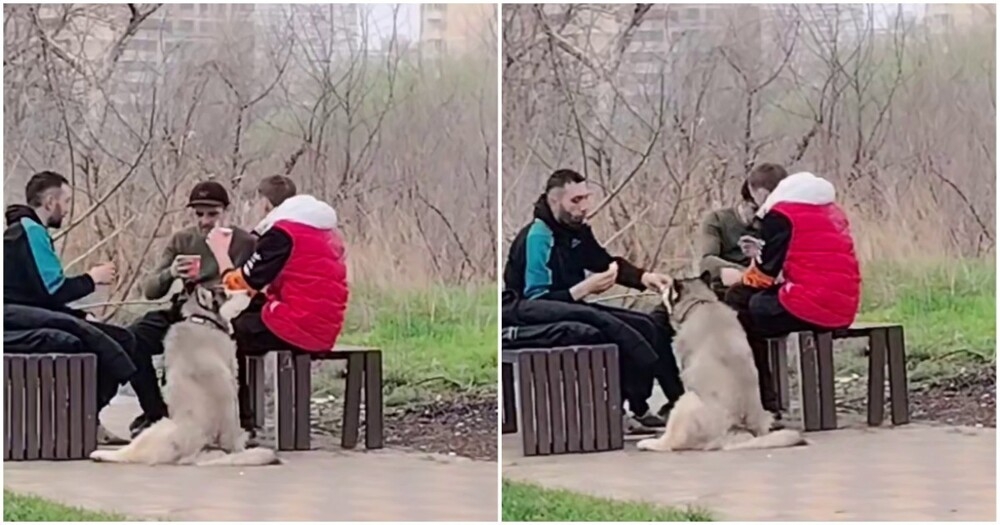 
        Локи нашёл себе мужскую компания    