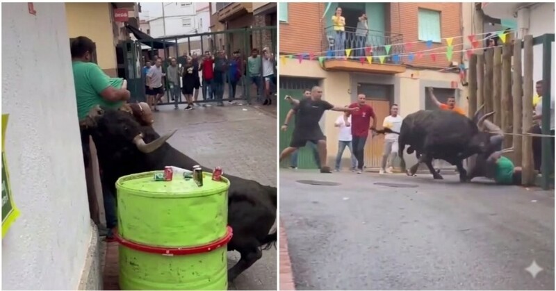 
        Бык&nbsp;атаковал мужчину на&nbsp;фестивале в&nbsp;Испании    