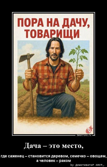 
			Демотиваторы №3795 (20 фото)