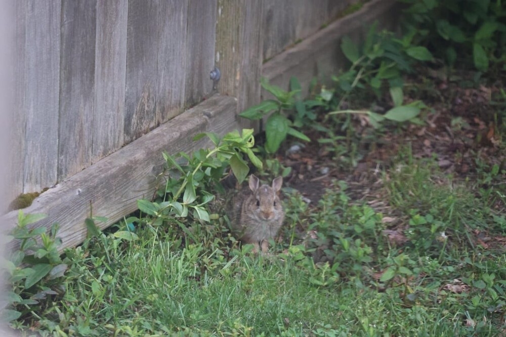 
        25&nbsp;фото очаровательных симпатяг, открытость которых растопит даже ледяное сердце    
