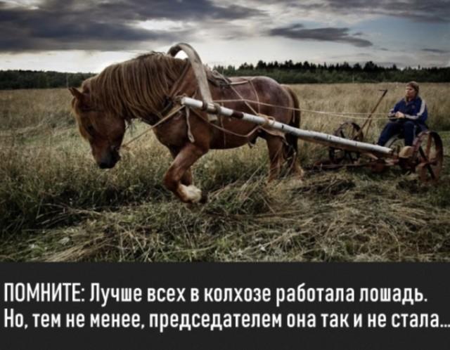 Подборка прикольных фото №3933