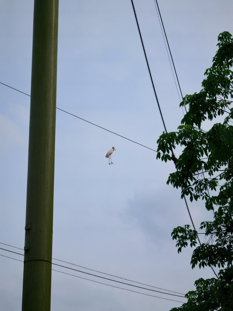 
        22&nbsp;случая, когда мать-природа включила режим &laquo;рояль в&nbsp;кустах&raquo;    