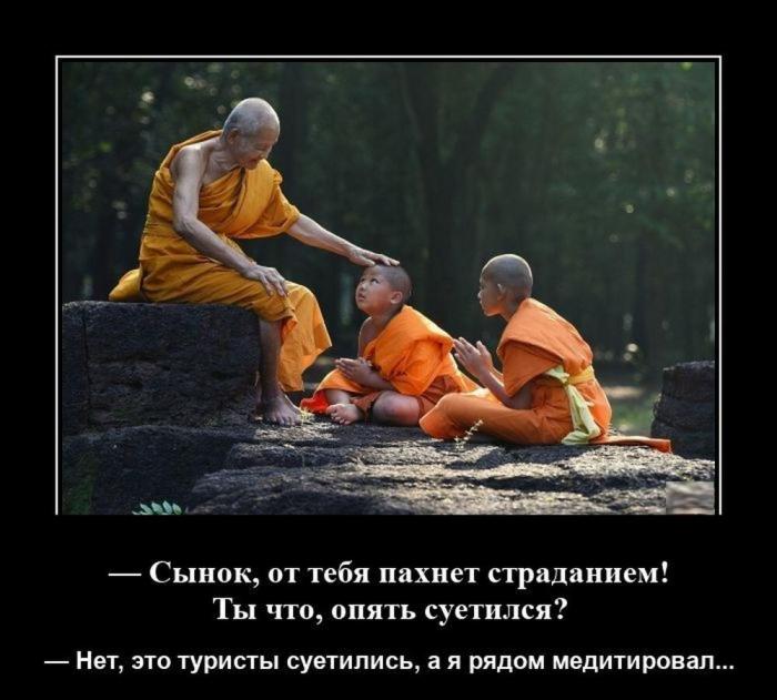 
			Демотиваторы №3795 (20 фото)