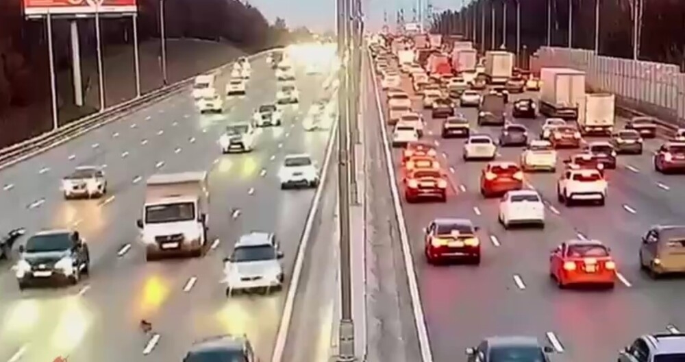 
        Напуганный щенок едва не&nbsp;погиб, когда перебегал дорогу    