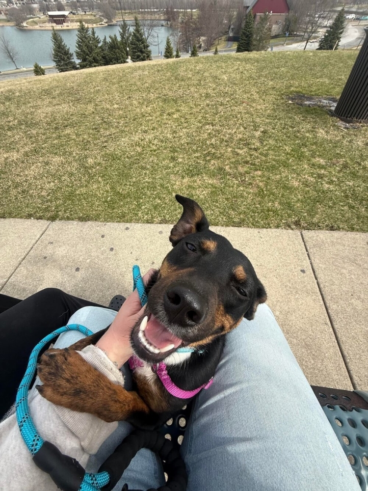 
        25&nbsp;фото очаровательных симпатяг, открытость которых растопит даже ледяное сердце    