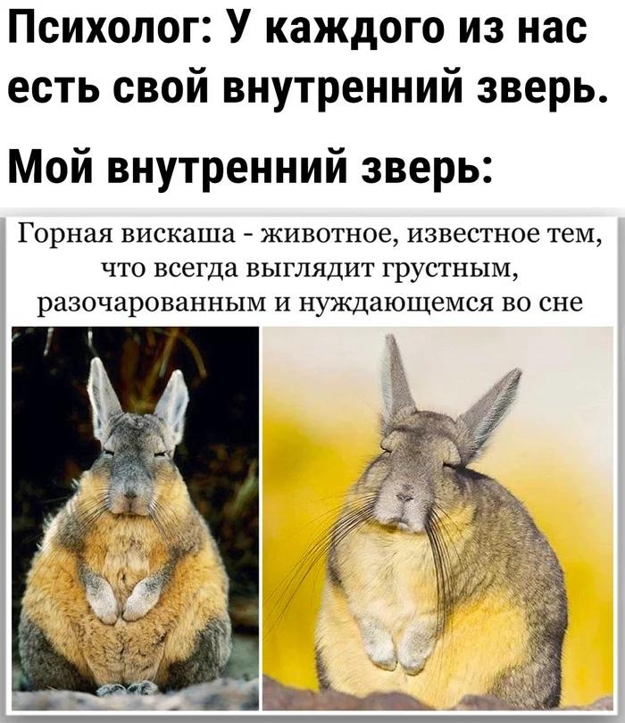 Подборка прикольных фото №3928