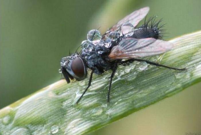 Подборка прикольных фото №3934