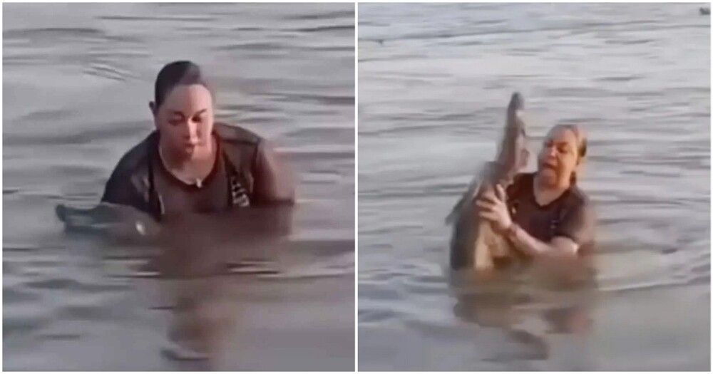 
        Женщина приняла каймана за&nbsp;кусок дерева    