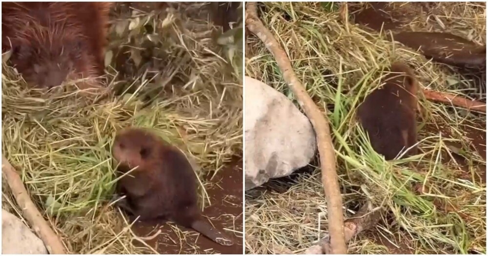 
        Первый день на&nbsp;работе    