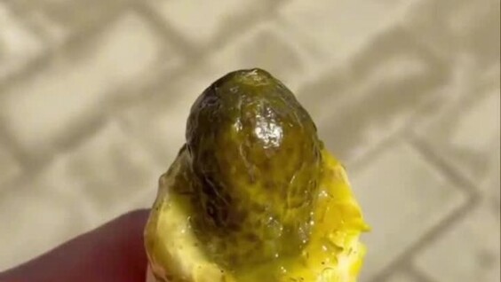 Поляки искали «здоровую альтернативу хот-догу», а придумали идеальную закуску
Поляки искали «здоровую альтернативу хот-догу», а придумали идеальную закуску