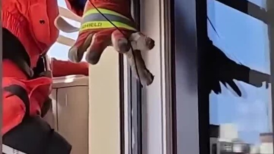 
        В&nbsp;Китае спасли бабушку, пытавшуюся спуститься с&nbsp;27&nbsp;этажа по&nbsp;решёткам для&nbsp;кондиционеров    