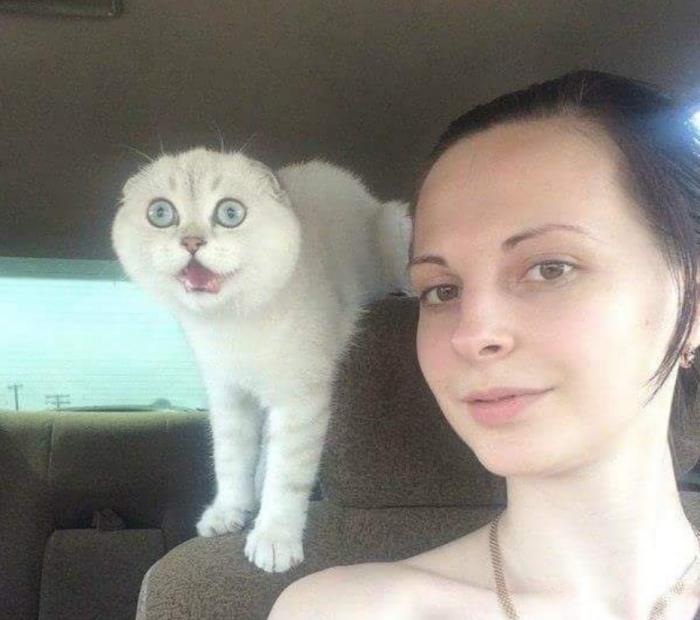 Подборка прикольных фото №3939