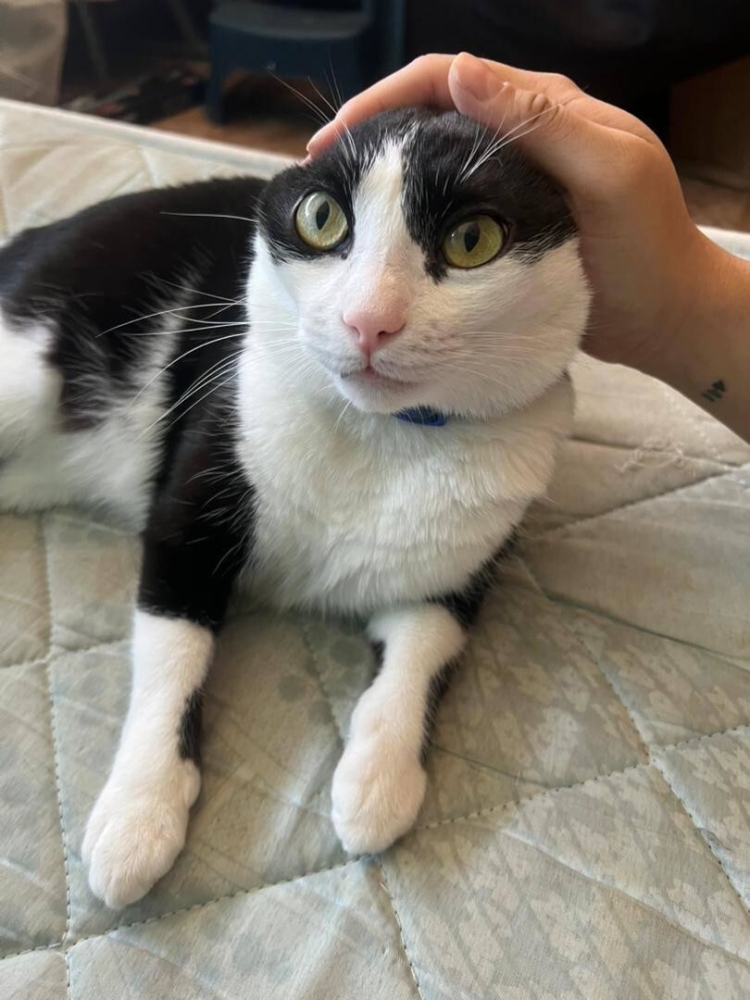 
        25+ пушистых мгновений радости, которые делают нашу жизнь счастливее    