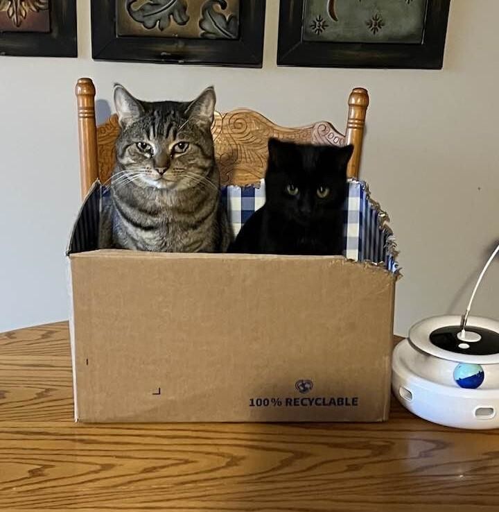 
        25&nbsp;фото очаровательных симпатяг, открытость которых растопит даже ледяное сердце    